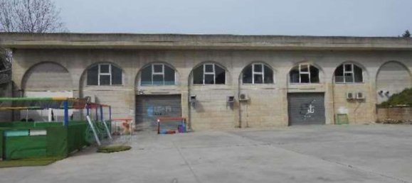 Entrepôt à Ardea, Italy 2981m² No. 378379 5