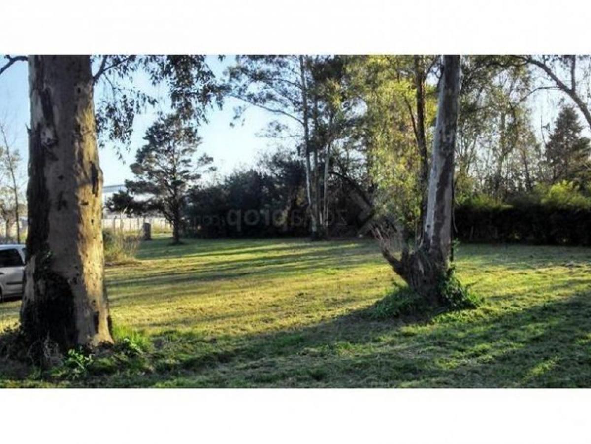 Terreno en General Rodríguez, Argentina No. 44506