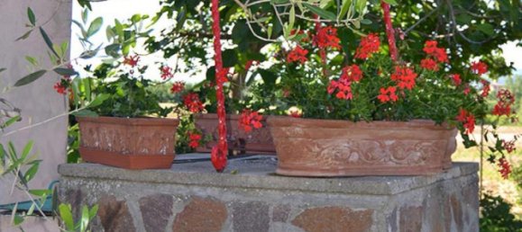 2 bedrooms House in Cortona, Italy No. 313 5