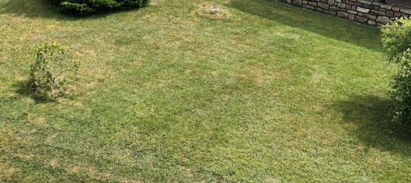 8-salle Maison de ville à Birkenfeld, Germany No. 229564 4