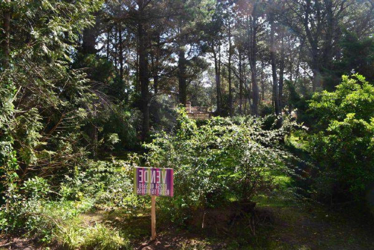 Земельный участок в Мар-дель-Плата, Аргентина № 113162