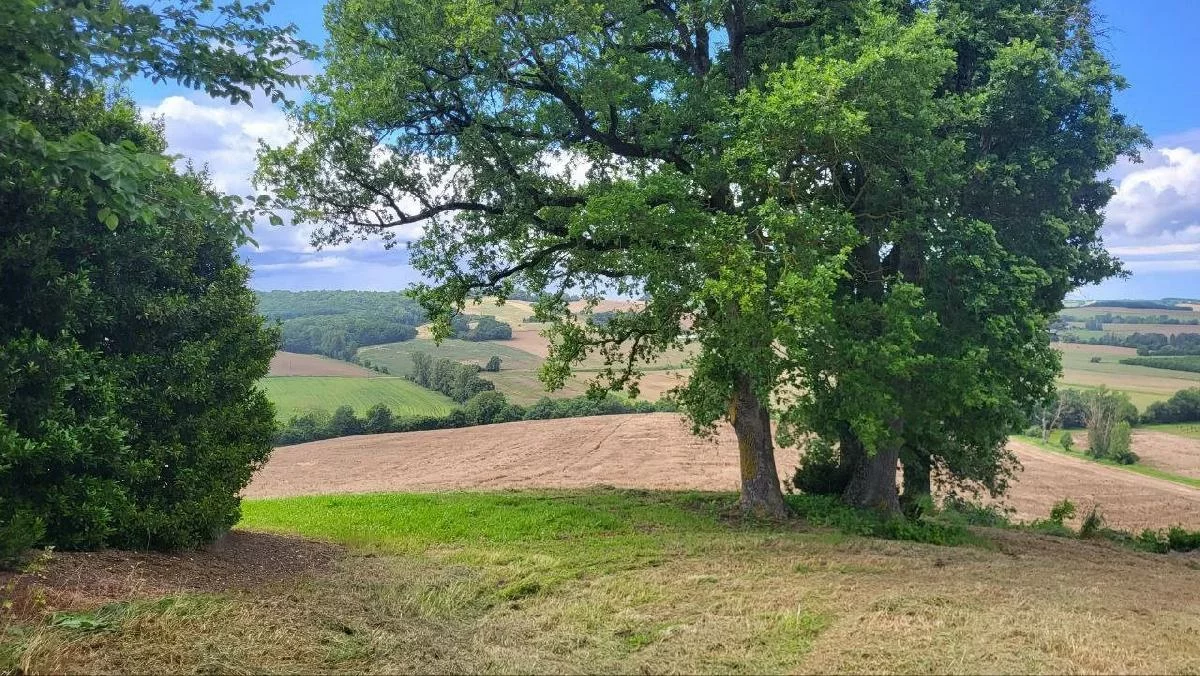 Grundstück in Beaumont-de-Lomagne, France 220000m², Nr. 65159
