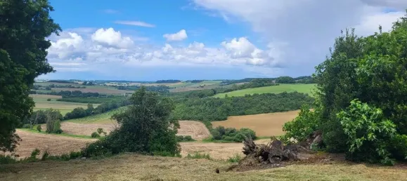 Grundstück in Beaumont-de-Lomagne, France 220000m², Nr. 65159 2