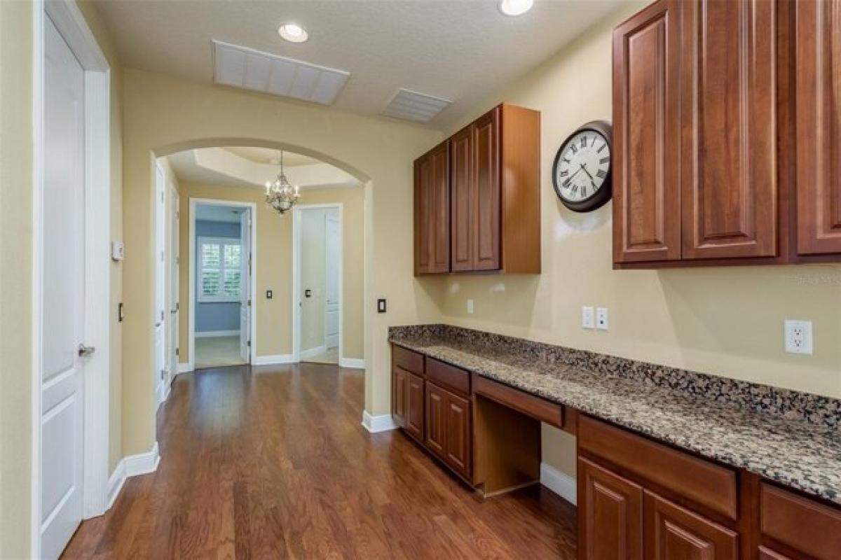 4 bedrooms House in Tampa, USA No. 289317