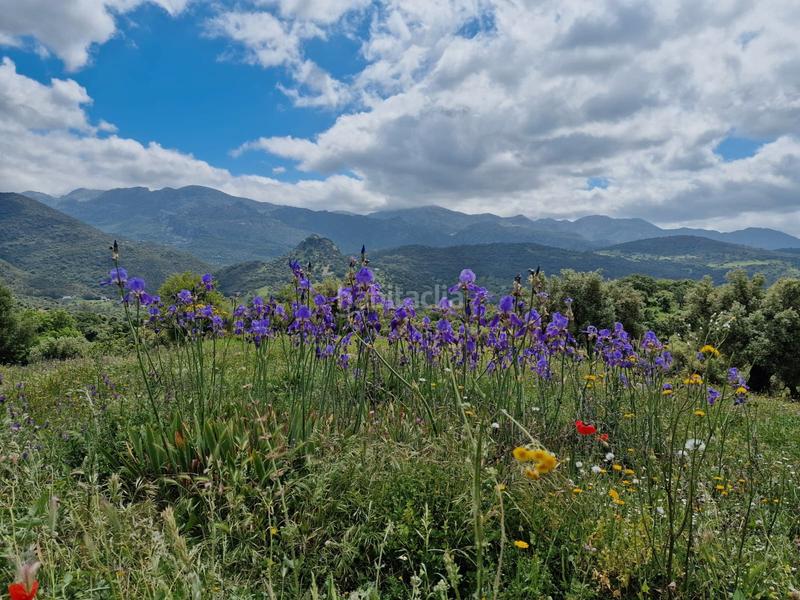 Grundstück in Cadiz, Spain 30000m², Nr. 165600