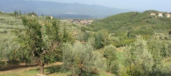 15 rooms Villa in Cavriglia, Italy No. 235568 13