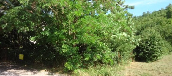 Grundstück in Neusiedl am See, Austria, Nr. 155526 2