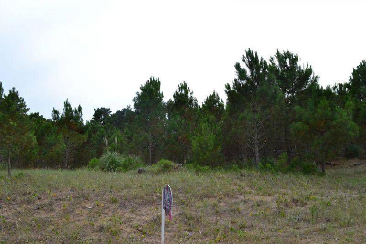 Terreno em Mar del Plata, Argentina N.º 113586