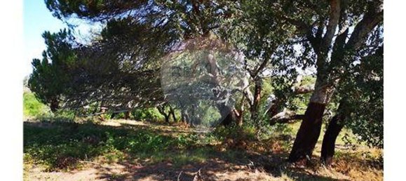 Grundstück in Sao Teotonio, Portugal 109m², Nr. 47892 10