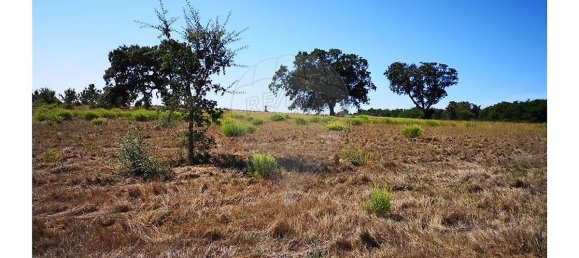 Grundstück in Sao Teotonio, Portugal 109m², Nr. 47892 7