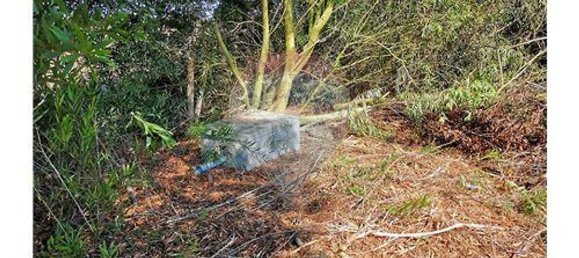 Grundstück in Sao Teotonio, Portugal 109m², Nr. 47892 16