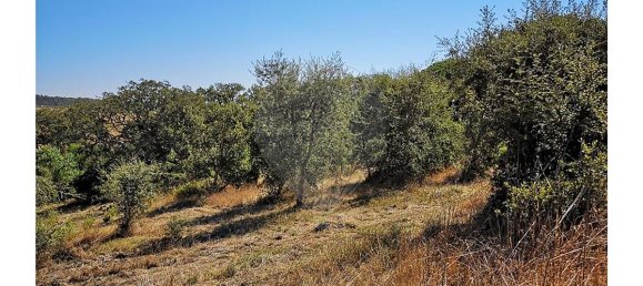 Grundstück in Sao Teotonio, Portugal 109m², Nr. 47892 13