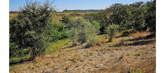 Grundstück in Sao Teotonio, Portugal 109m², Nr. 47892 12