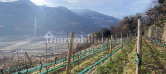 5 rooms House in Trentino-Alto Adige, Italy No. 351327 10
