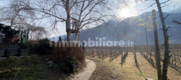5 rooms House in Trentino-Alto Adige, Italy No. 351327 11