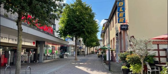 Imóvel comercial em Rhein-Neckar-Kreis, Germany 452 m² N.º 44873 14