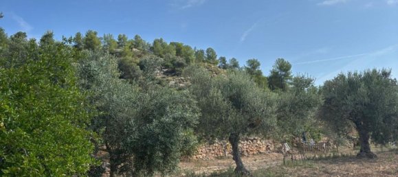 Grundstück in Tarragona, Spain, Nr. 186527 7