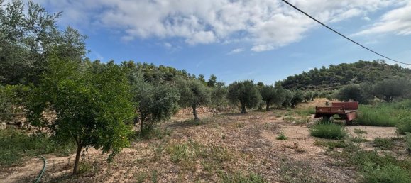 Grundstück in Tarragona, Spain, Nr. 186527 22