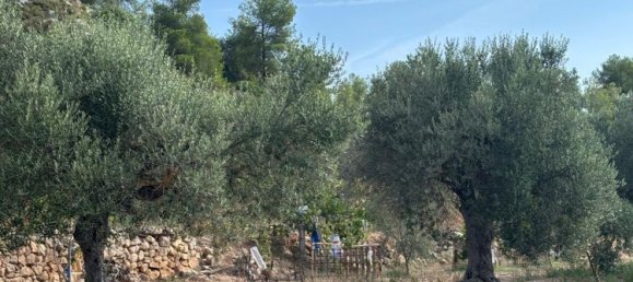 Grundstück in Tarragona, Spain, Nr. 186527 9