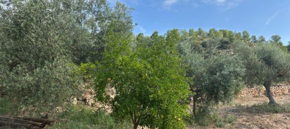 Grundstück in Tarragona, Spain, Nr. 186527 24