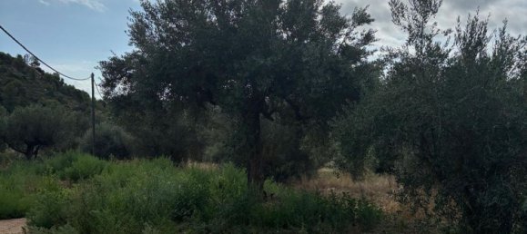 Grundstück in Tarragona, Spain, Nr. 186527 8