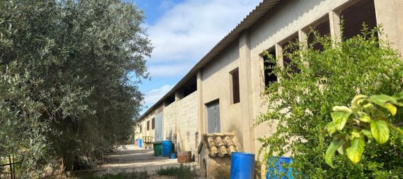 Grundstück in Tarragona, Spain, Nr. 186527 5