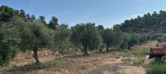 Grundstück in Tarragona, Spain, Nr. 186527 18