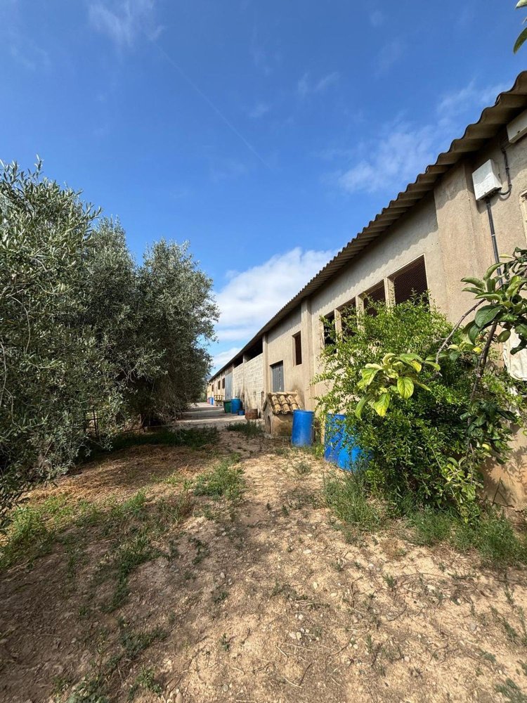 Grundstück in Tarragona, Spain, Nr. 186527