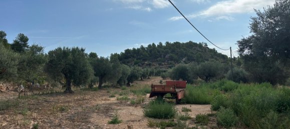 Grundstück in Tarragona, Spain, Nr. 186527 23