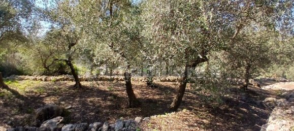 6783m² Land in Itri, Italy No. 72529 9