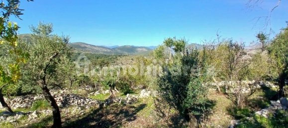 6783m² Land in Itri, Italy No. 72529 7