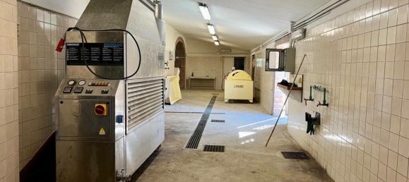 Castillos de 5 dormitorios en Cetona, Italy No. 53661 90