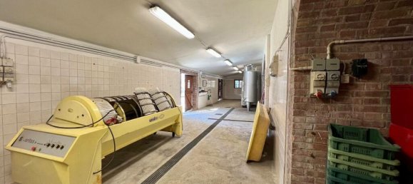 Castillos de 5 dormitorios en Cetona, Italy No. 53661 91