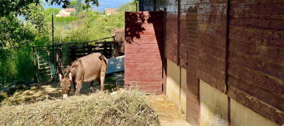 Castillos de 5 dormitorios en Cetona, Italy No. 53661 60