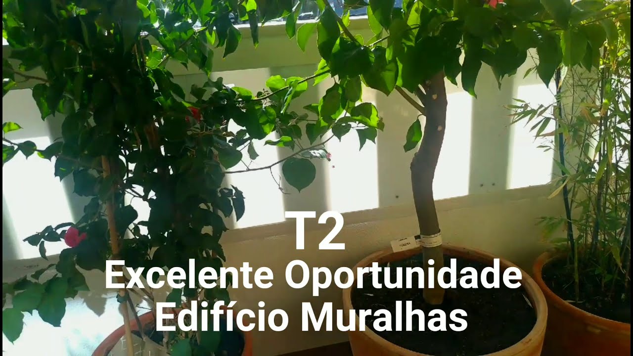 Квартира с 2 спальнями в Лагуш, Португалия № 245621