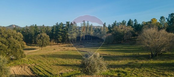 Casa T7 em Vila Nova de Poiares, Portugal N.º 21750 32