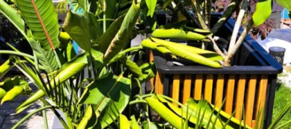 Casa de 4 habitaciónes en Munchendorf, Austria No. 220097 24