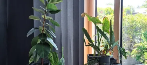 Casa de 4 habitaciónes en Munchendorf, Austria No. 220097 18