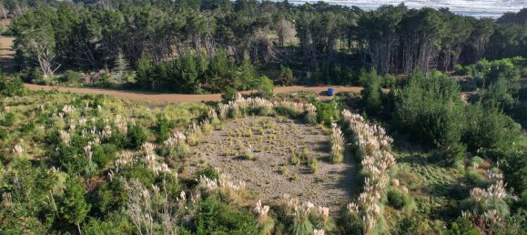 15100m² Land in Horowhenua, New Zealand No. 125 8