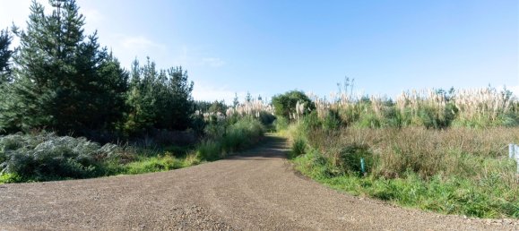 15100m² Land in Horowhenua, New Zealand No. 125 11