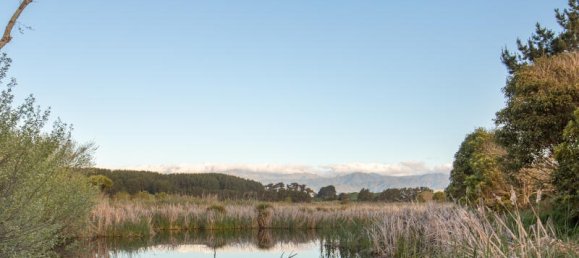 15100m² Land in Horowhenua, New Zealand No. 125 4