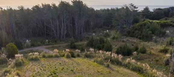 15100m² Land in Horowhenua, New Zealand No. 125 10