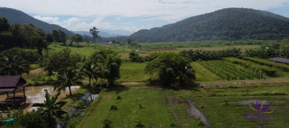 4 bedrooms House in Chiang Mai, Thailand No. 26931 5