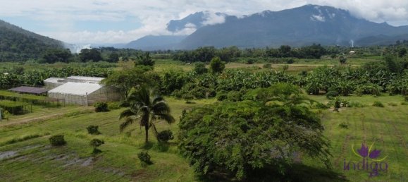 4 bedrooms House in Chiang Mai, Thailand No. 26931 6