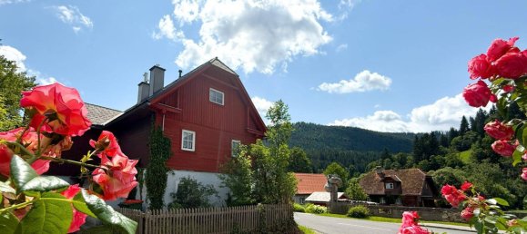 7 rooms House in Neuberg an der Murz, Austria No. 203969 4