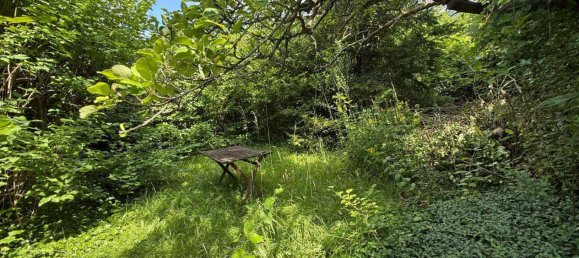 7 rooms House in Neuberg an der Murz, Austria No. 203969 7