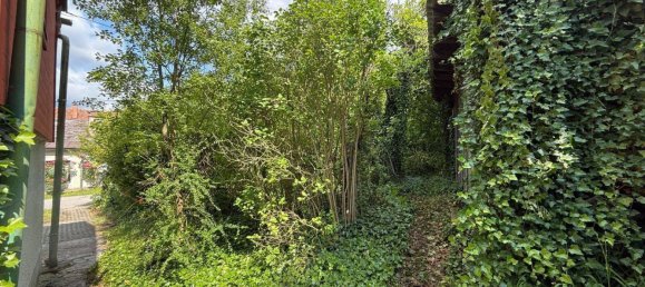 7 rooms House in Neuberg an der Murz, Austria No. 203969 22