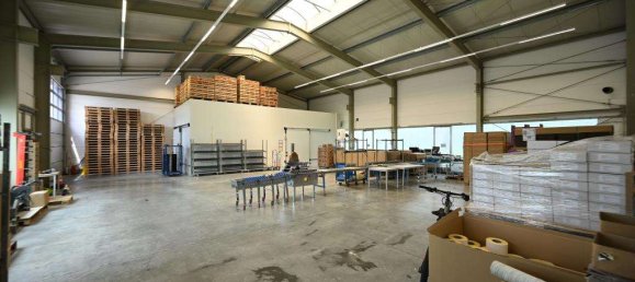 Armazém em Neustadt an der Waldnaab, Germany 1089 m² N.º 365019 4