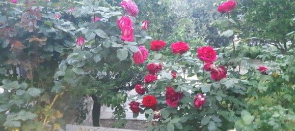 6 bedrooms Commercial property in Vasilika, Greece No. 2021 8