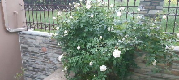 6 bedrooms Commercial property in Vasilika, Greece No. 2021 7